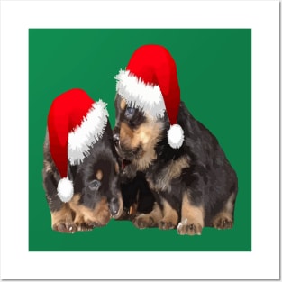 Christmas Rottweilers Wearing Festive Holiday Hats Posters and Art